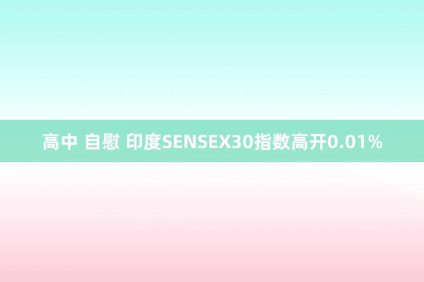 高中 自慰 印度SENSEX30指数高开0.01%