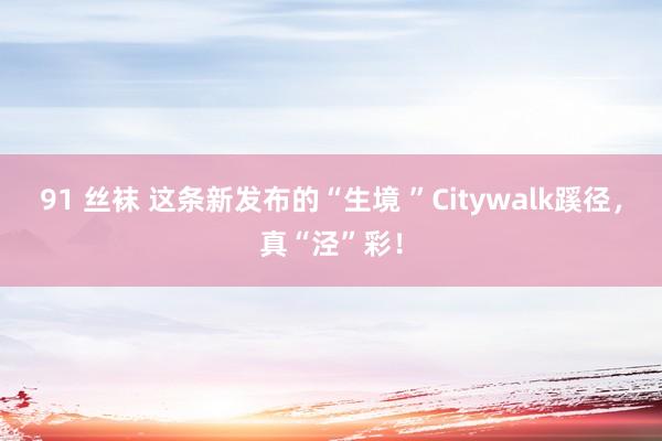 91 丝袜 这条新发布的“生境 ”Citywalk蹊径，真“泾”彩！