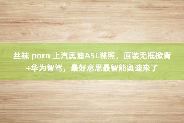 丝袜 porn 上汽奥迪A5L谍照,原装无框掀背+华为智驾,最好意思最智能奥迪来了