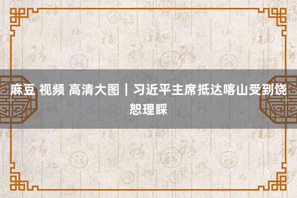 麻豆 视频 高清大图｜习近平主席抵达喀山受到饶恕理睬
