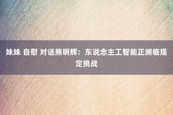 妹妹 自慰 对话熊明辉：东说念主工智能正濒临规定挑战