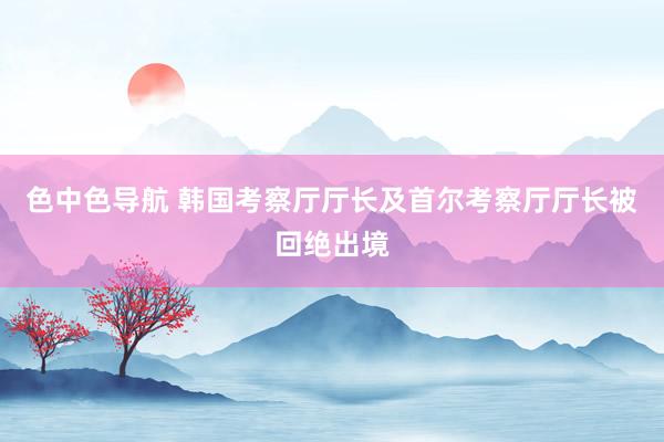 色中色导航 韩国考察厅厅长及首尔考察厅厅长被回绝出境