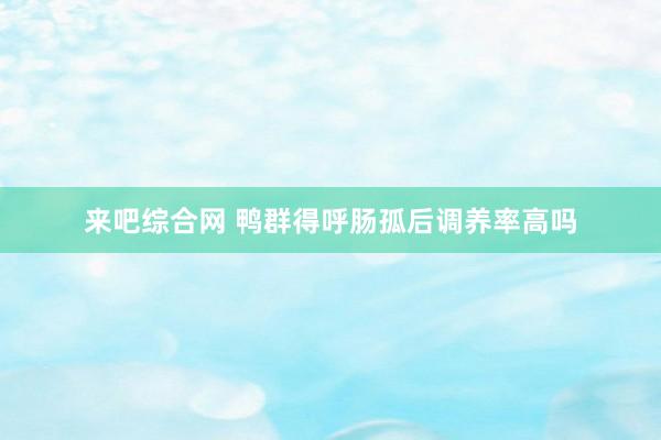 来吧综合网 鸭群得呼肠孤后调养率高吗