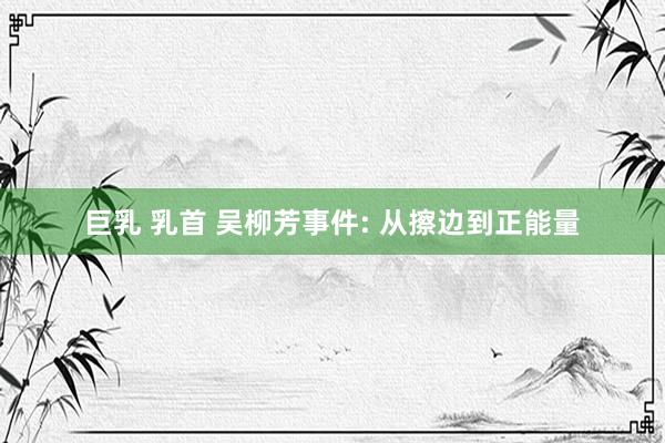 巨乳 乳首 吴柳芳事件: 从擦边到正能量