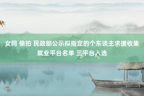 女同 偷拍 民政部公示拟指定的个东谈主求援收集就业平台名单 三平台入选