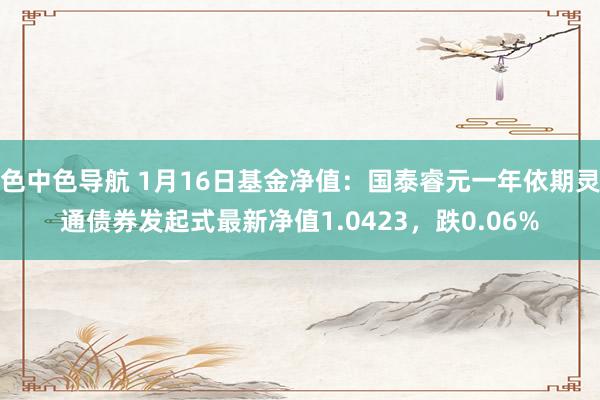 色中色导航 1月16日基金净值：国泰睿元一年依期灵通债券发起式最新净值1.0423，跌0.06%
