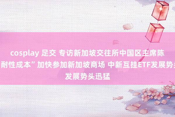 cosplay 足交 专访新加坡交往所中国区主席陈庆：“耐性成本”加快参加新加坡商场 中新互挂ETF发展势头迅猛