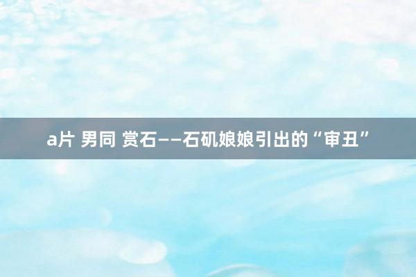 a片 男同 赏石——石矶娘娘引出的“审丑”