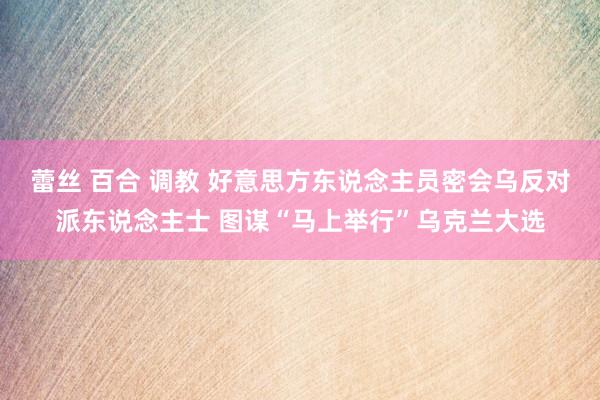 蕾丝 百合 调教 好意思方东说念主员密会乌反对派东说念主士 图谋“马上举行”乌克兰大选