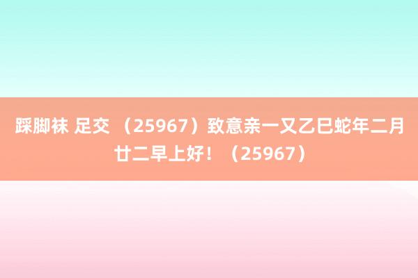 踩脚袜 足交 （25967）致意亲一又乙巳蛇年二月廿二早上好！（25967）