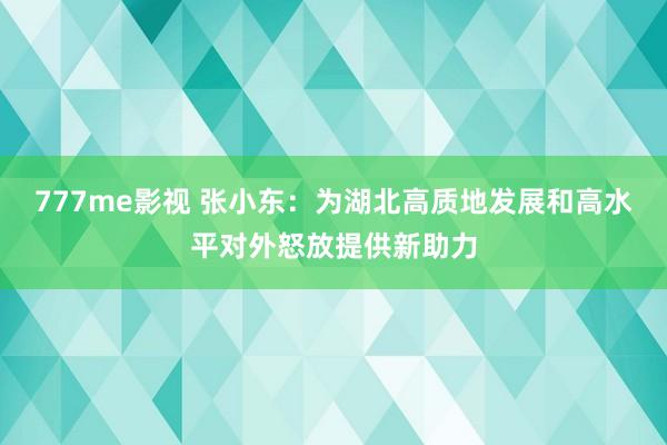 777me影视 张小东：为湖北高质地发展和高水平对外怒放提供新助力