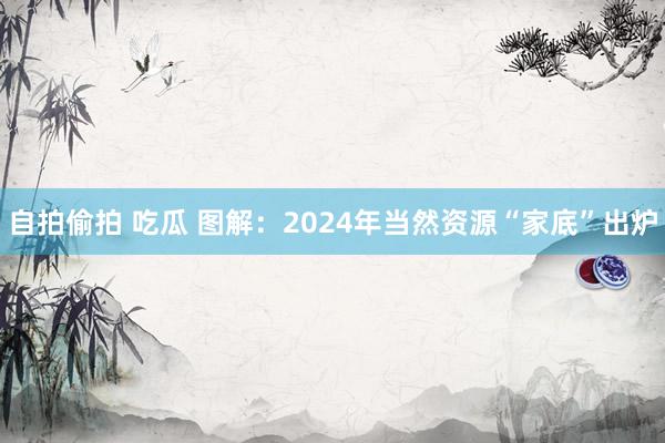自拍偷拍 吃瓜 图解：2024年当然资源“家底”出炉