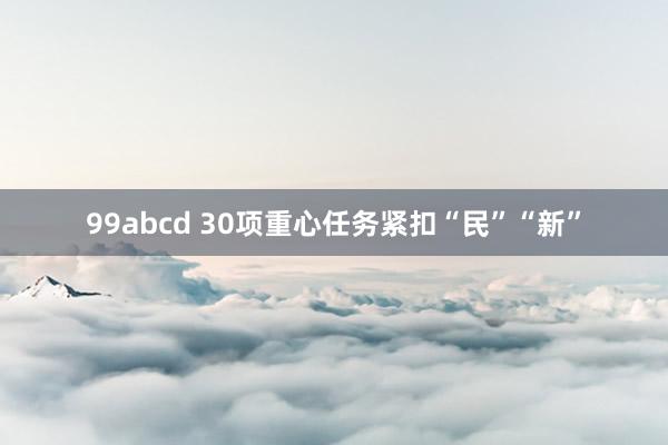 99abcd 30项重心任务紧扣“民”“新”