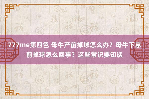 777me第四色 母牛产前掉球怎么办？母牛下崽前掉球怎么回事？这些常识要知谈