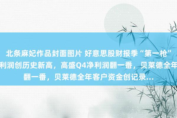 北条麻妃作品封面图片 好意思股财报季“第一枪”：摩根大通全年净利润创历史新高，高盛Q4净利润翻一番，贝莱德全年客户资金创记录...