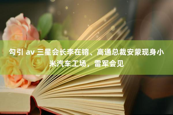 勾引 av 三星会长李在镕、高通总裁安蒙现身小米汽车工场，雷军会见