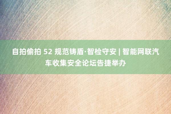自拍偷拍 52 规范铸盾·智检守安 | 智能网联汽车收集安全论坛告捷举办