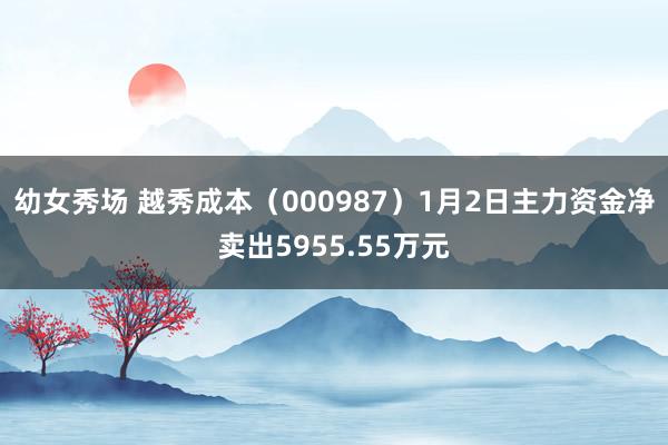 幼女秀场 越秀成本（000987）1月2日主力资金净卖出5955.55万元