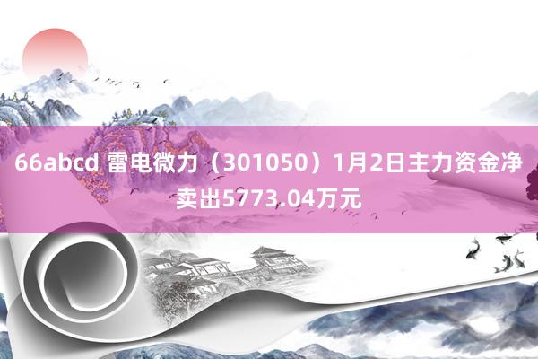 66abcd 雷电微力（301050）1月2日主力资金净卖出5773.04万元