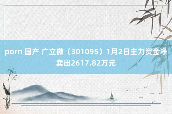 porn 国产 广立微（301095）1月2日主力资金净卖出2617.82万元