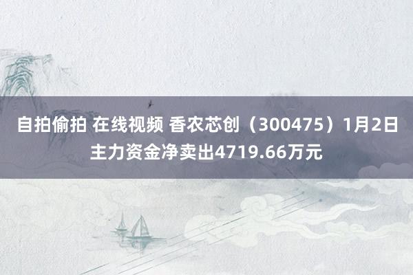 自拍偷拍 在线视频 香农芯创（300475）1月2日主力资金净卖出4719.66万元