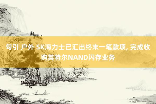 勾引 户外 SK海力士已汇出终末一笔款项， 完成收购英特尔NAND闪存业务