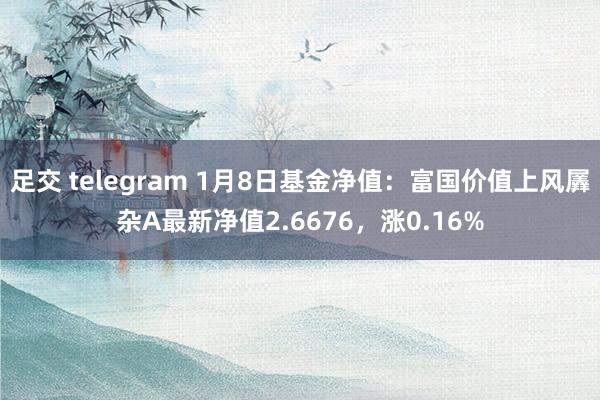 足交 telegram 1月8日基金净值：富国价值上风羼杂A最新净值2.6676，涨0.16%