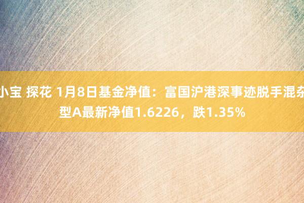 小宝 探花 1月8日基金净值：富国沪港深事迹脱手混杂型A最新净值1.6226，跌1.35%