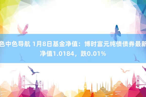 色中色导航 1月8日基金净值：博时富元纯债债券最新净值1.0184，跌0.01%