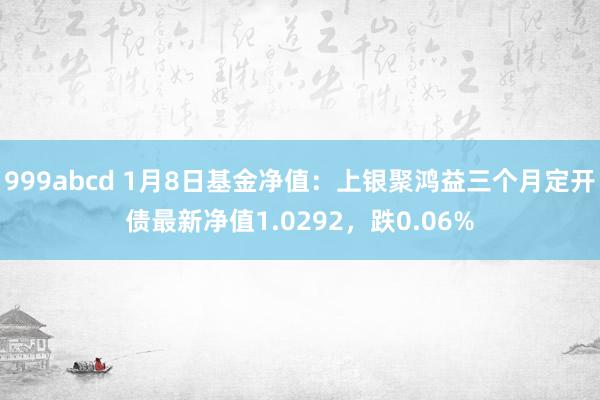 999abcd 1月8日基金净值：上银聚鸿益三个月定开债最新净值1.0292，跌0.06%