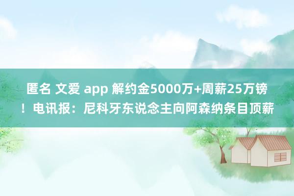 匿名 文爱 app 解约金5000万+周薪25万镑！电讯报：尼科牙东说念主向阿森纳条目顶薪