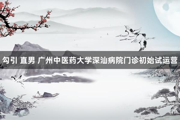 勾引 直男 广州中医药大学深汕病院门诊初始试运营