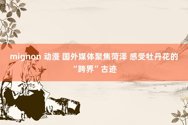 mignon 动漫 国外媒体聚焦菏泽 感受牡丹花的“跨界”古迹