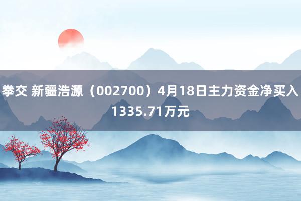 拳交 新疆浩源（002700）4月18日主力资金净买入1335.71万元