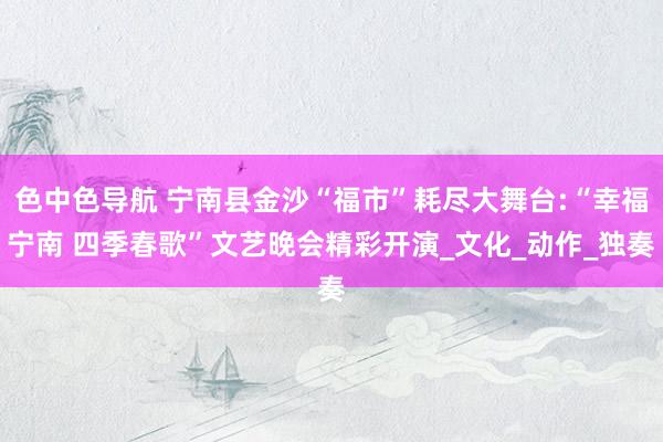 色中色导航 宁南县金沙“福市”耗尽大舞台:“幸福宁南 四季春歌”文艺晚会精彩开演_文化_动作_独奏