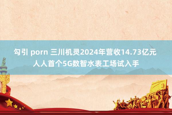 勾引 porn 三川机灵2024年营收14.73亿元 人人首个5G数智水表工场试入手