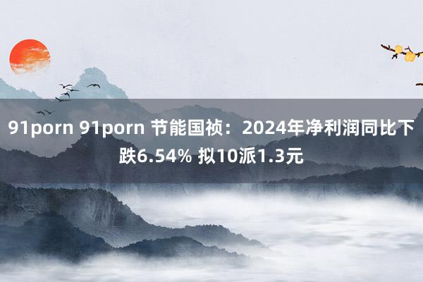 91porn 91porn 节能国祯：2024年净利润同比下跌6.54% 拟10派1.3元