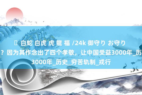 ✨白蛇 白虎 虎 龍 福 /24k 御守り お守り 周朝为何备受尊崇？因为其作念出了四个孝敬，让中国受益3000年_历史_穷苦轨制_戎行