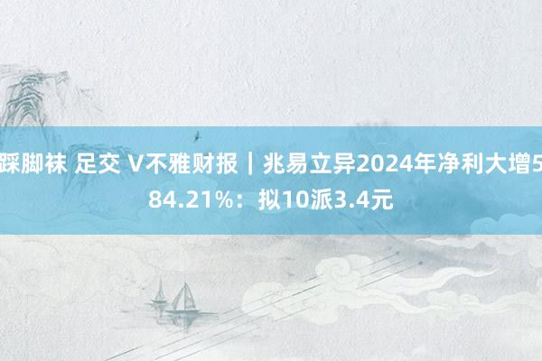 踩脚袜 足交 V不雅财报｜兆易立异2024年净利大增584.21%：拟10派3.4元